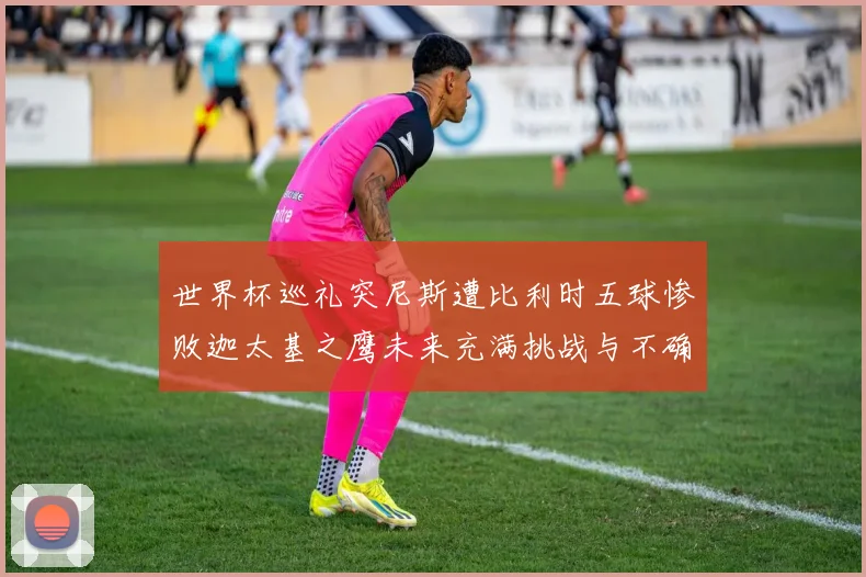 世界杯巡礼突尼斯遭比利时五球惨败迦太基之鹰未来充满挑战与不确定性