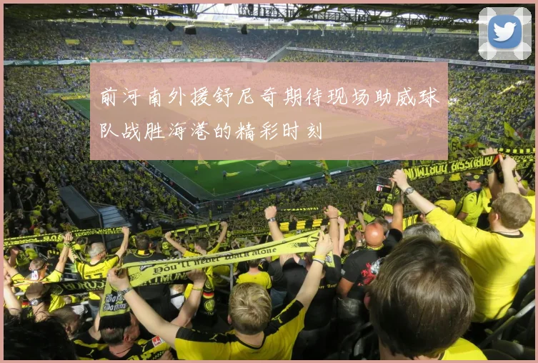 前河南外援舒尼奇期待现场助威球队战胜海港的精彩时刻